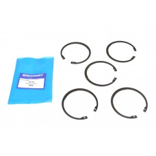 Ring Elastic Quantity Of 5