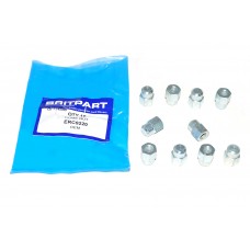 Dome Nut Quantity Of 10