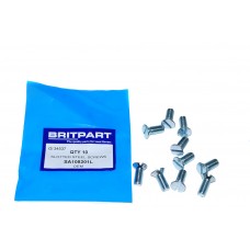 Slotted Steel Screws Quantity Of 10