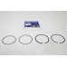 Piston Ring Kit