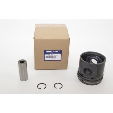 Piston Assy 300 Tdi 040