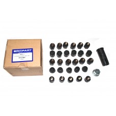 Locking Wheel Nut Kit