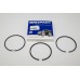 Piston Ring Std