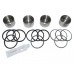 S/S BRITPART CALIPER PISTON SET (REAR)